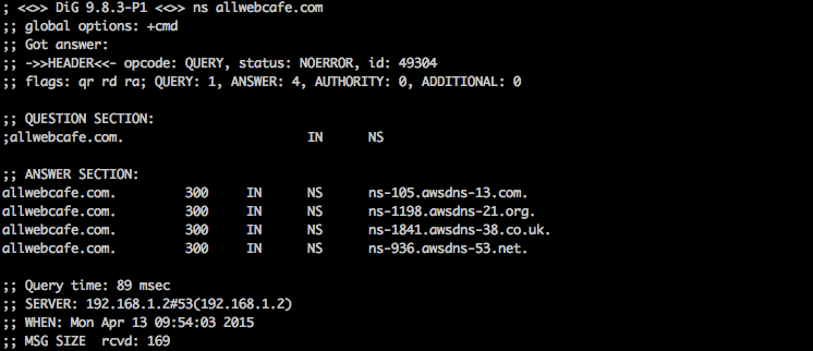 screenshot of the terminal after running 'dig ns allwebcafe.com'